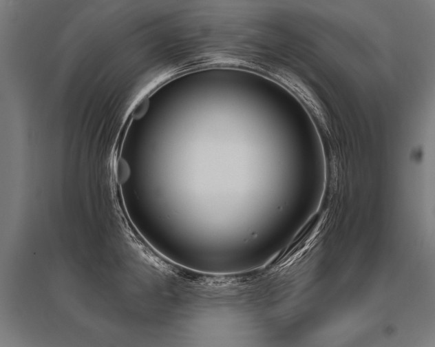 X0000096181198200801181305