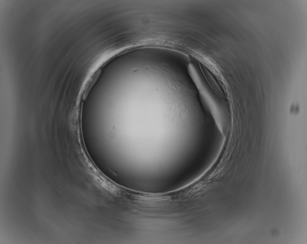X0000096181200200801181305