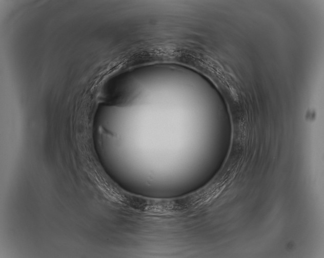 X0000096181201200801181305