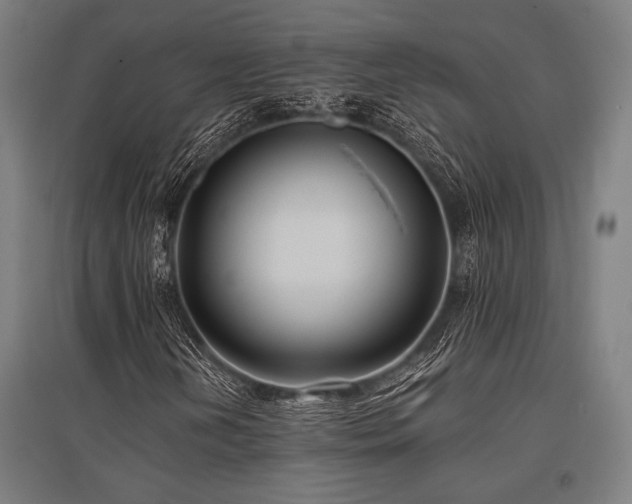 X0000096181202200801181305