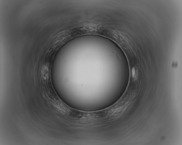 X0000096181203200801181305