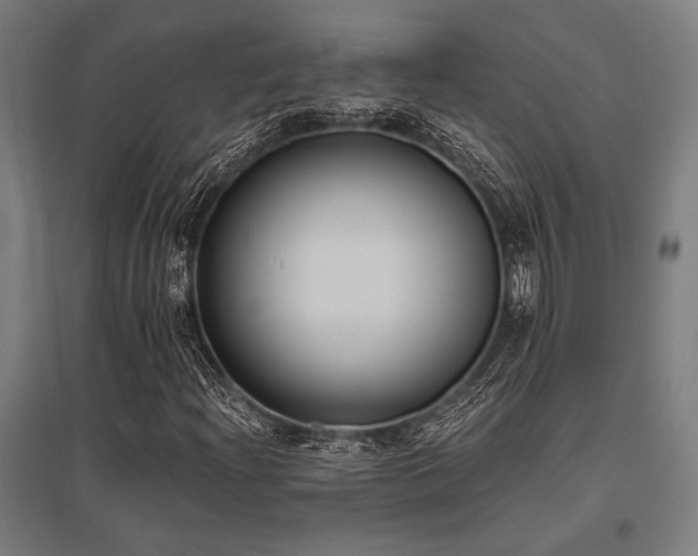 X0000096181204200801181305