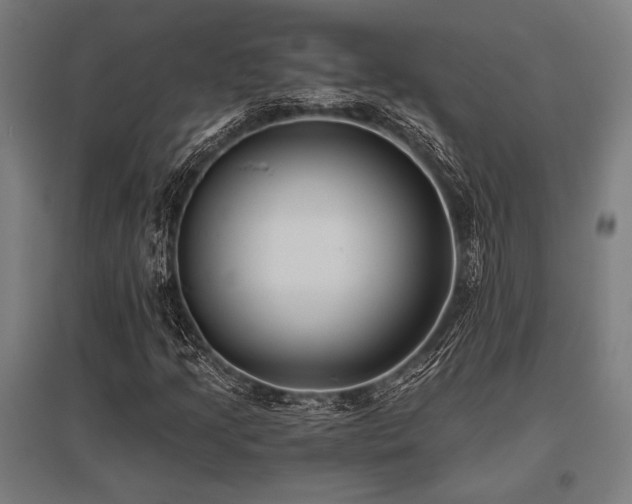 X0000096181205200801181305