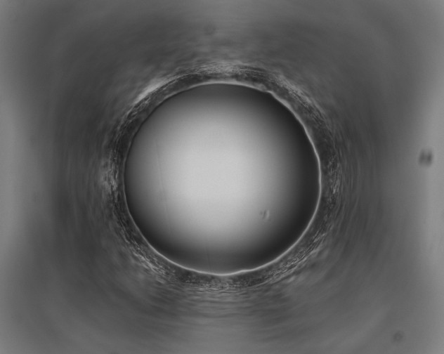 X0000096181206200801181305