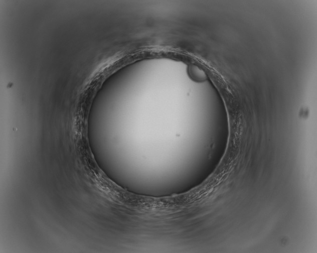 X0000096181207200801181305