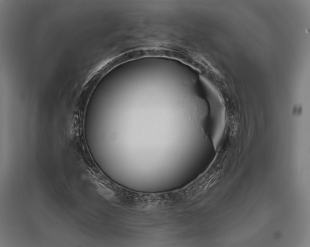 X0000096181208200801181305