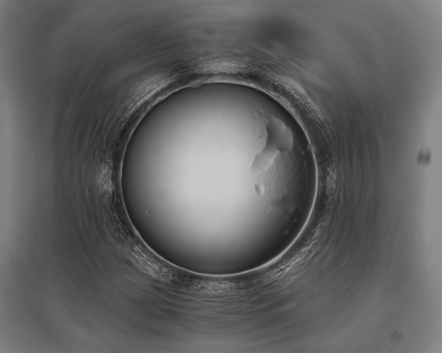 X0000096181209200801181305
