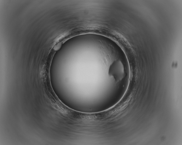 X0000096181210200801181305
