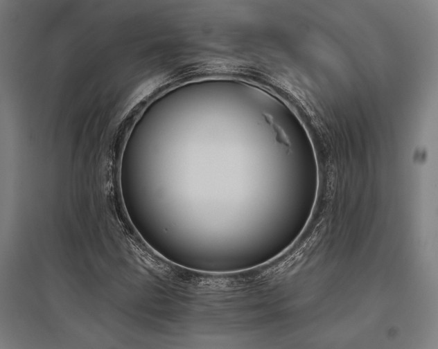 X0000096181211200801181305