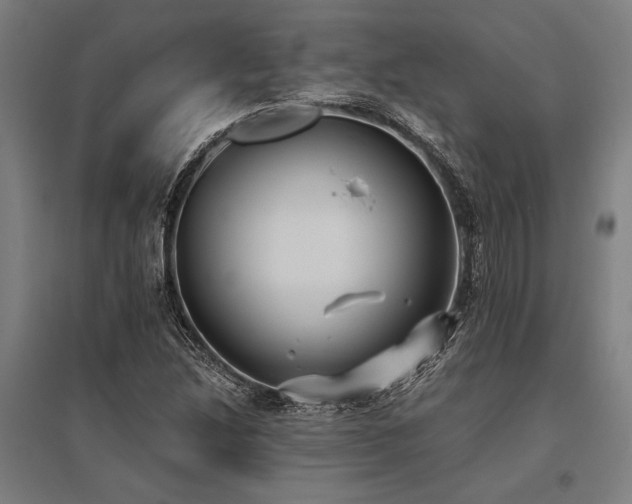 X0000096181214200801181305