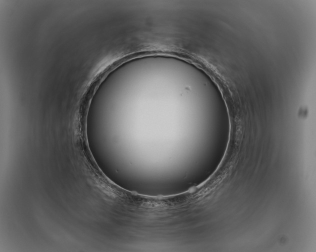 X0000096181215200801181305
