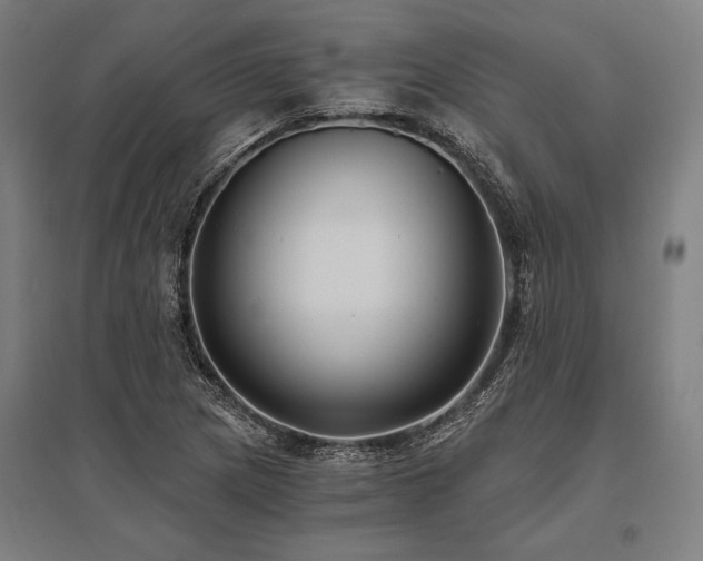 X0000096181217200801181305