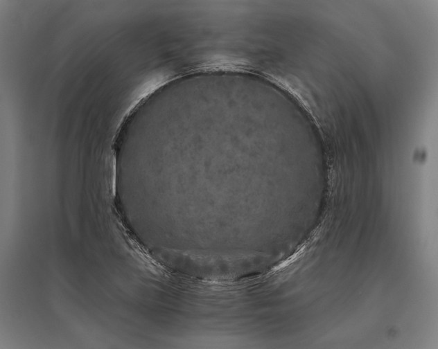 X0000096181219200801181305