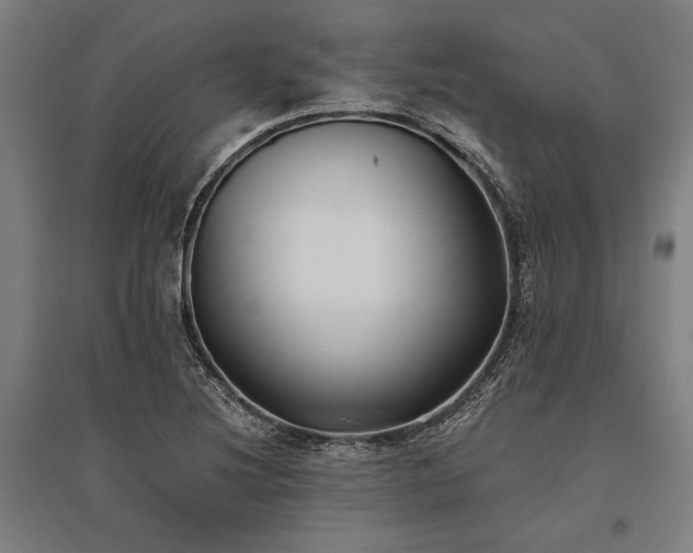 X0000096181220200801181305
