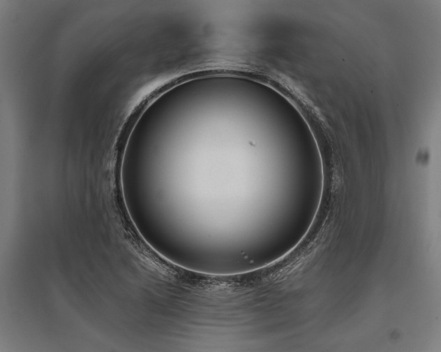 X0000096181222200801181305