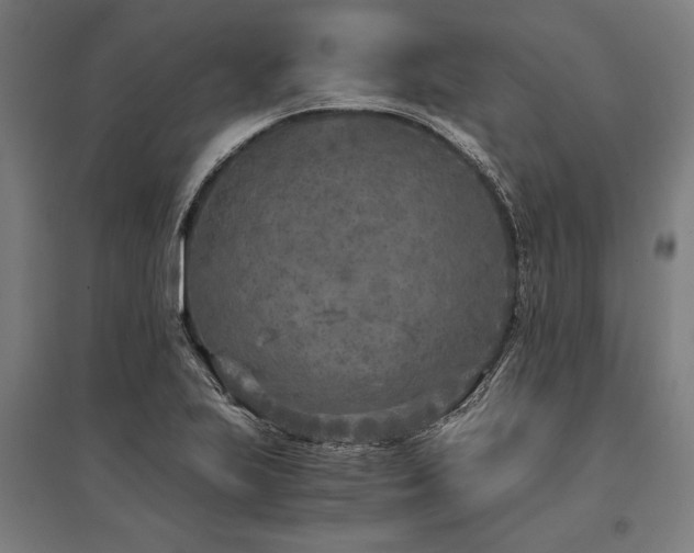 X0000096181223200801181305