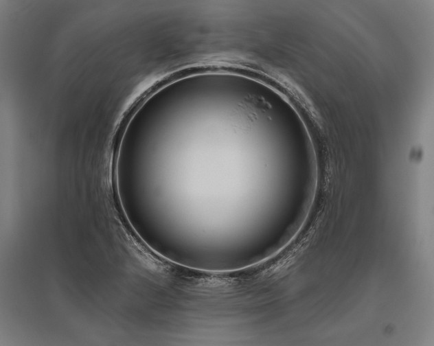 X0000096181224200801181305