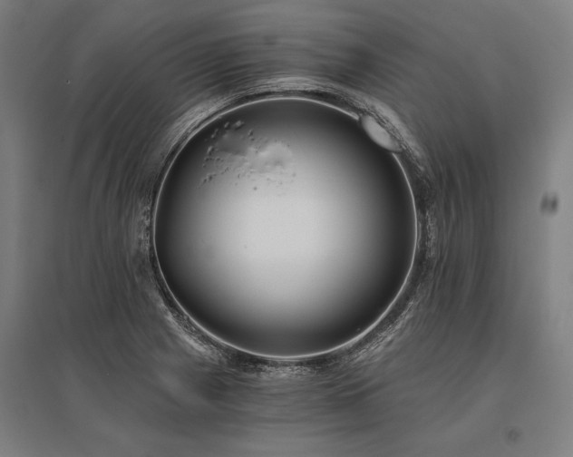 X0000096181225200801181305