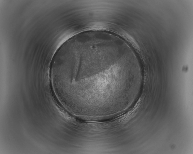 X0000096181226200801181305