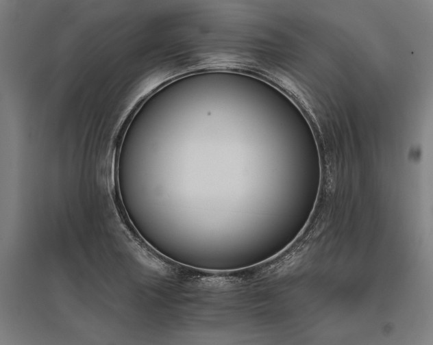 X0000096181227200801181305