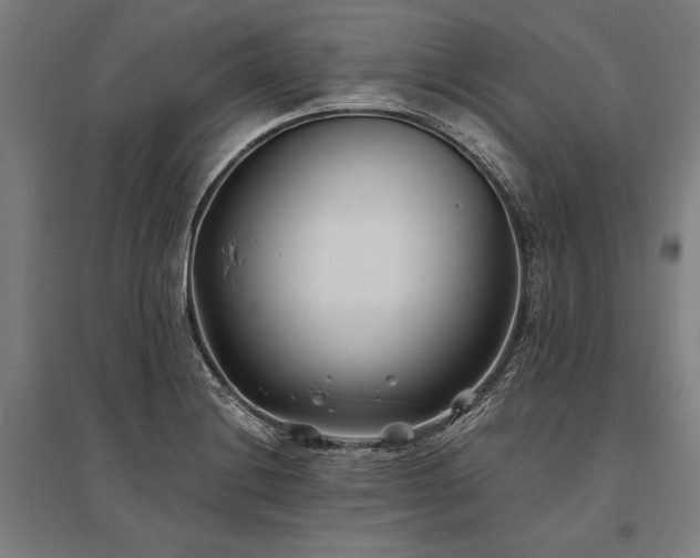 X0000096181228200801181305