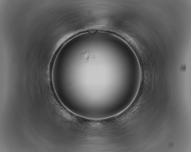 X0000096181230200801181305