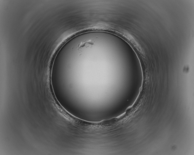 X0000096181232200801181305