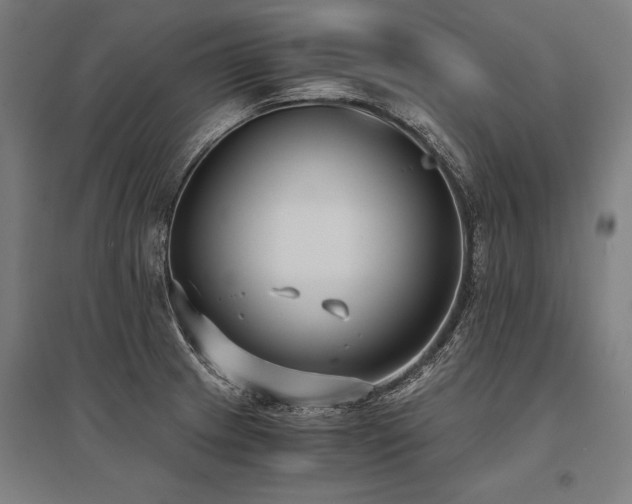 X0000096181233200801181305