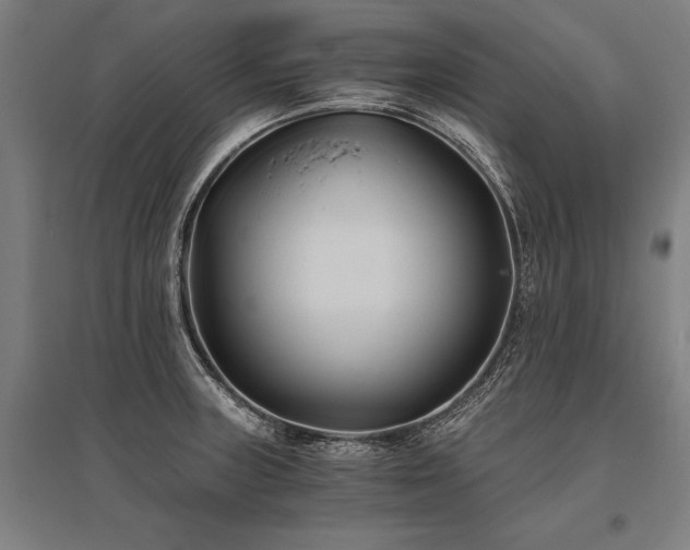 X0000096181235200801181305