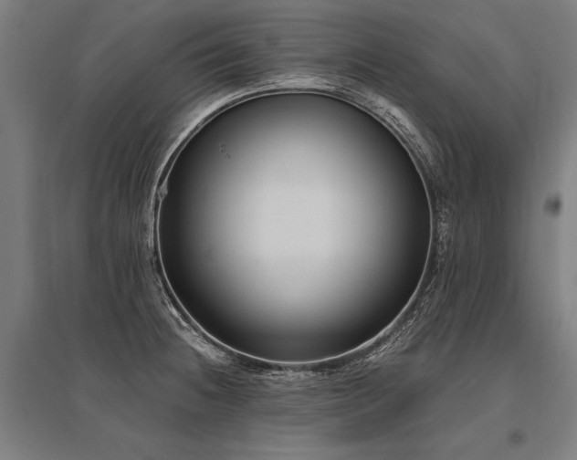 X0000096181236200801181305