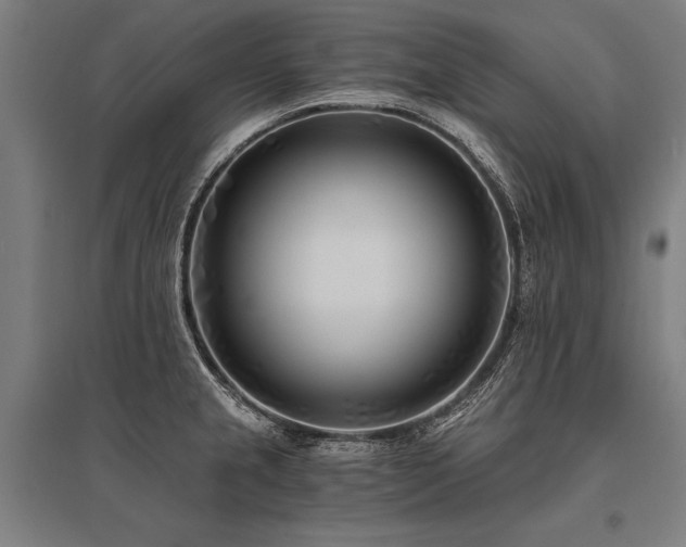 X0000096181237200801181305