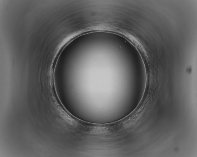 X0000096181238200801181305