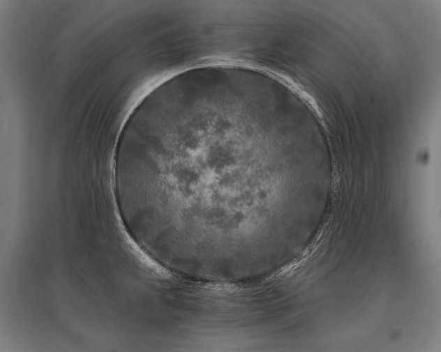X0000096181239200801181305