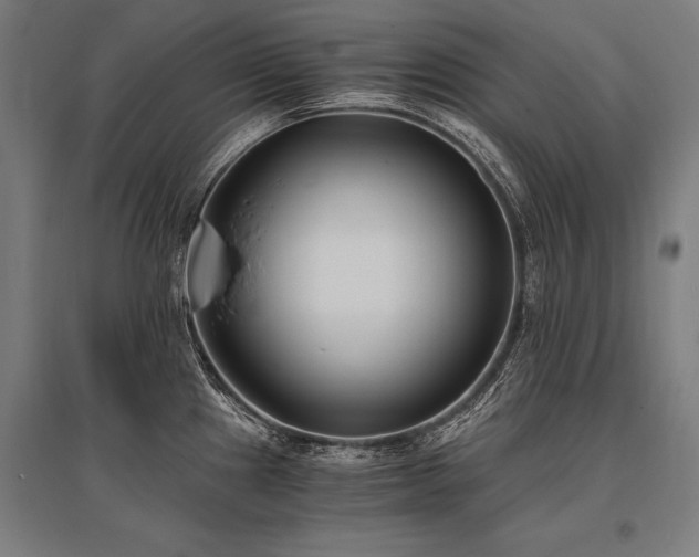 X0000096181241200801181305