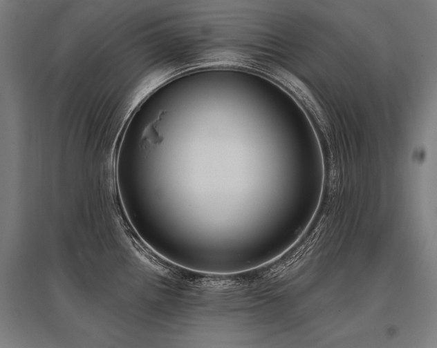 X0000096181242200801181305