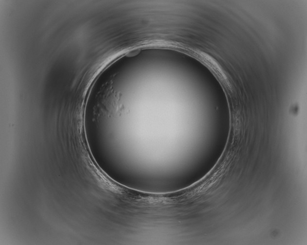 X0000096181244200801181305