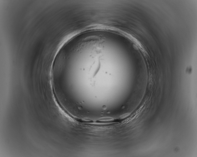 X0000096181247200801181305
