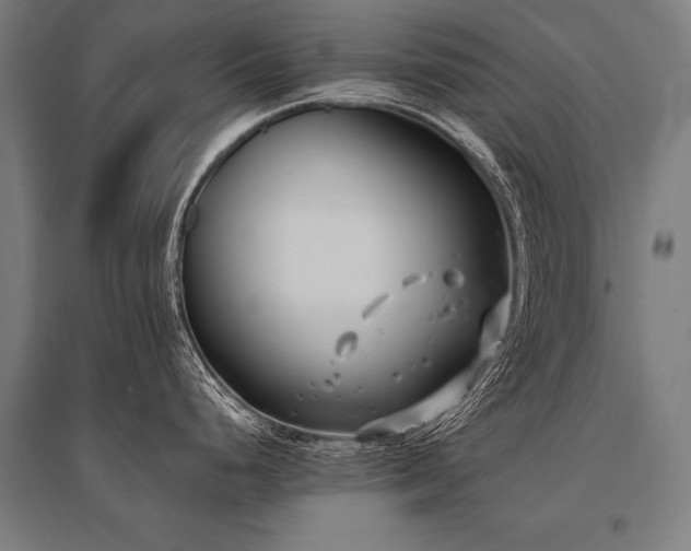 X0000096181248200801181305