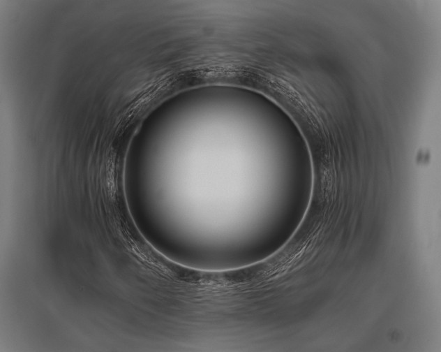 X0000096181250200801181305