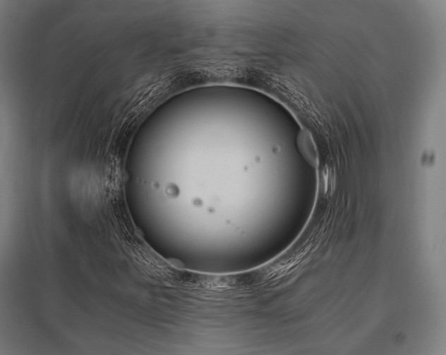X0000096181251200801181305