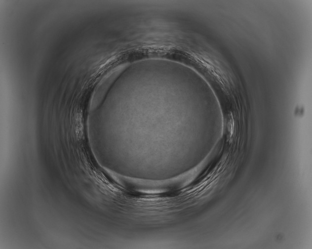 X0000096181252200801181305