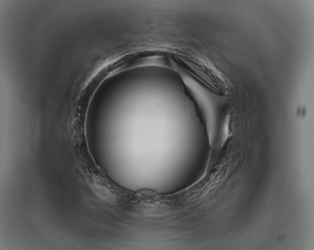 X0000096181256200801181305