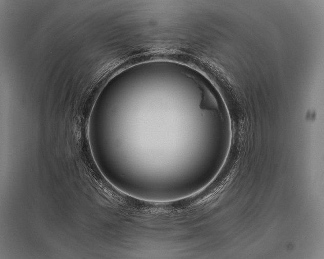 X0000096181257200801181305