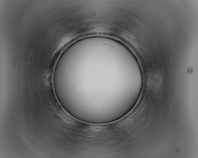 X0000096181258200801181305