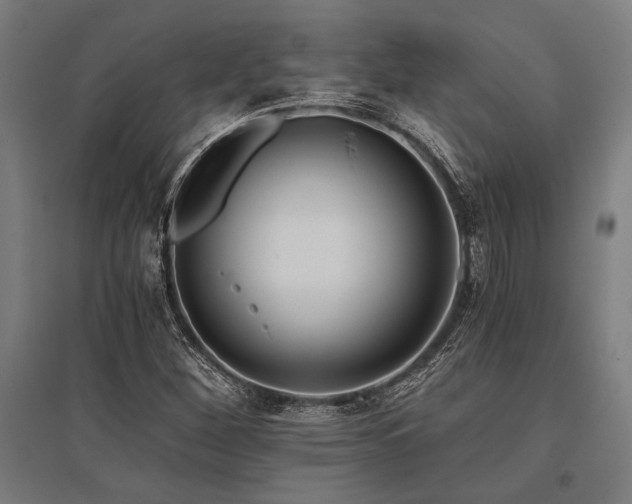X0000096181260200801181305