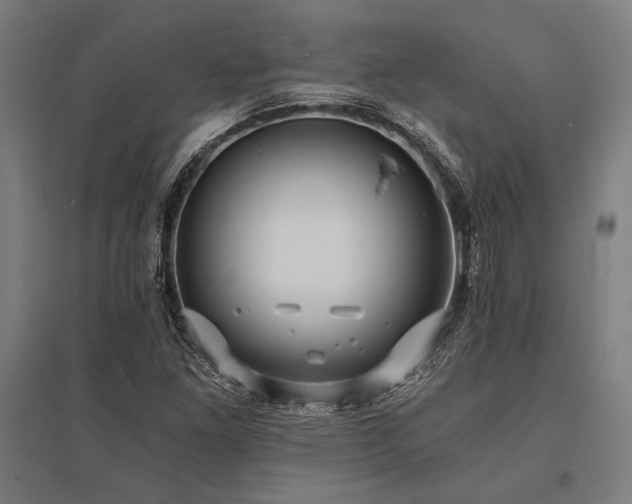 X0000096181261200801181305