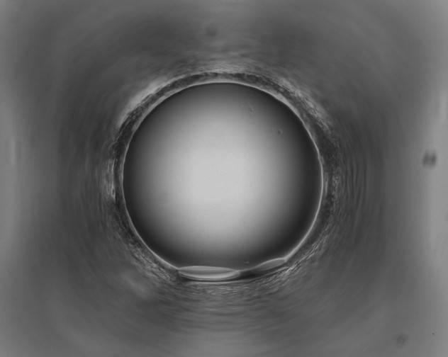 X0000096181262200801181304