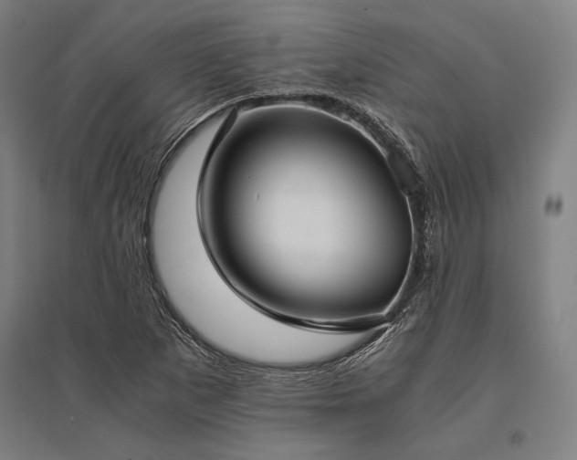 X0000096181265200801181304