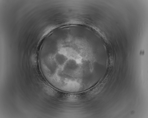 X0000096181266200801181304