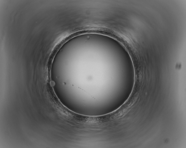X0000096181267200801181304